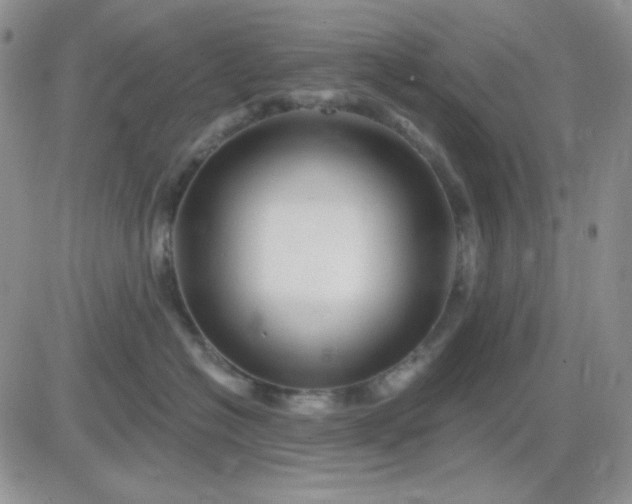 X0000081440574200701261851