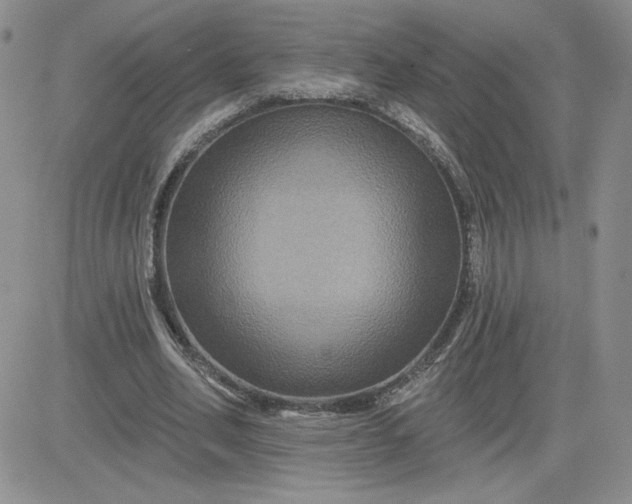 X0000081440582200701261850