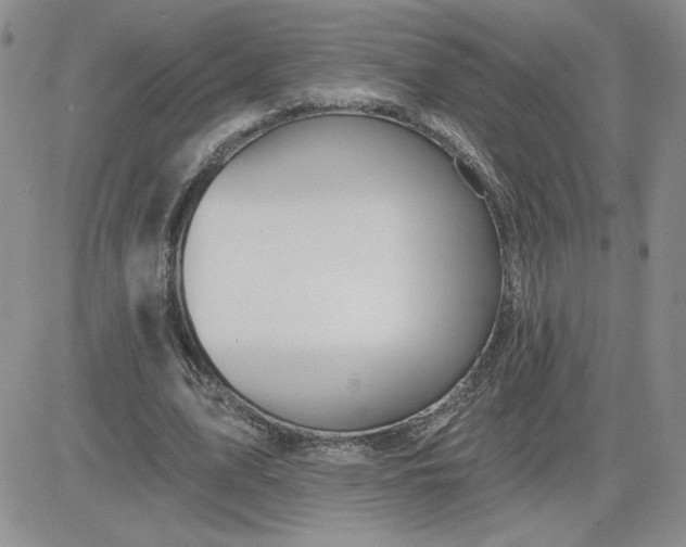 X0000081440583200701261850