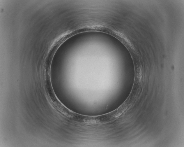 X0000081440587200701261850