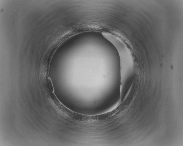 X0000081440593200701261850