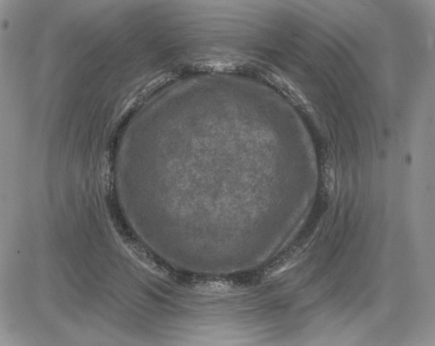 X0000081440594200701261849