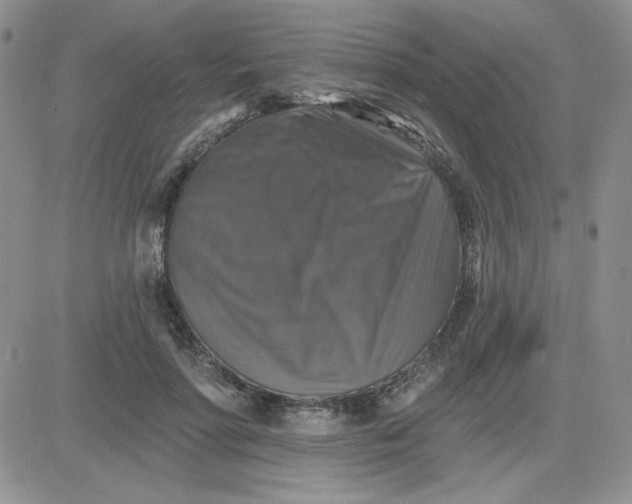 X0000081440598200701261849