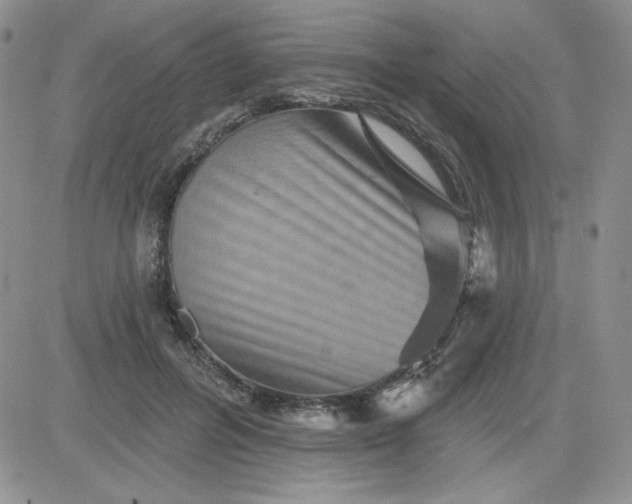 X0000081440600200701261849