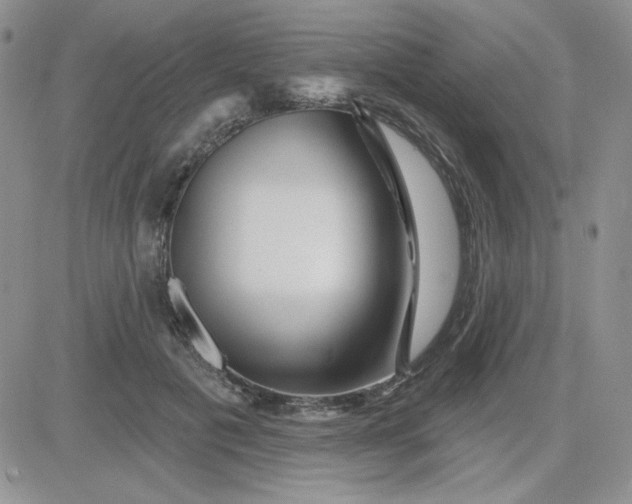 X0000081440601200701261849