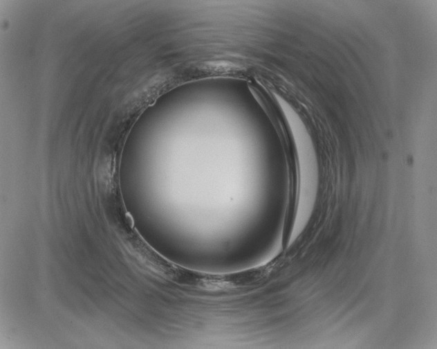 X0000081440605200701261849