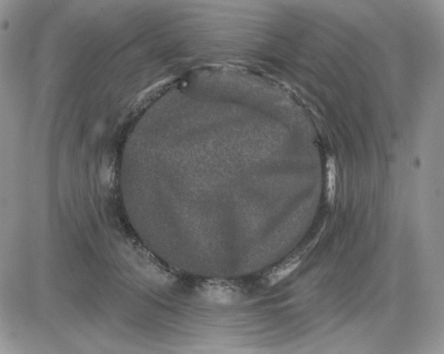 X0000081440608200701261849