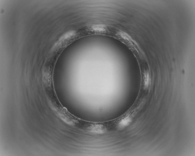 X0000081440609200701261849