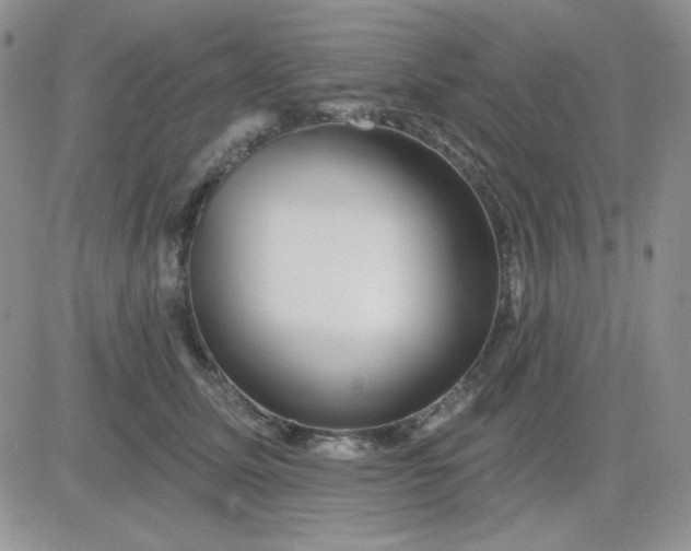 X0000081440611200701261849