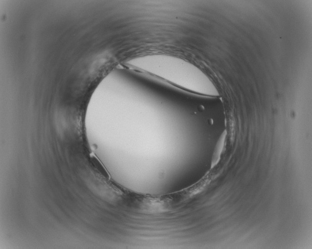 X0000081440613200701261849