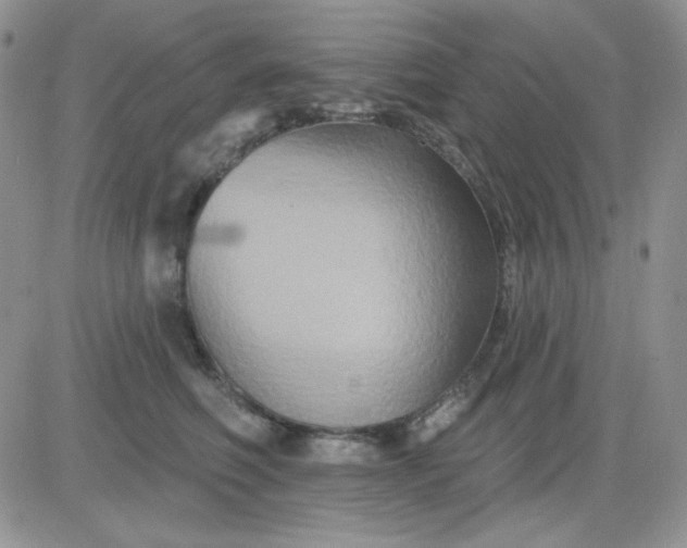 X0000081440614200701261849