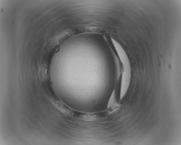 X0000081440615200701261849