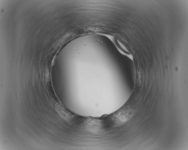 X0000081440617200701261849