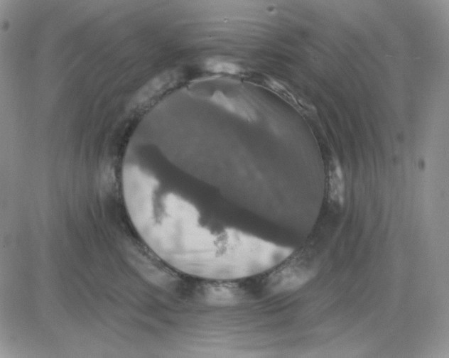 X0000081440618200701261849