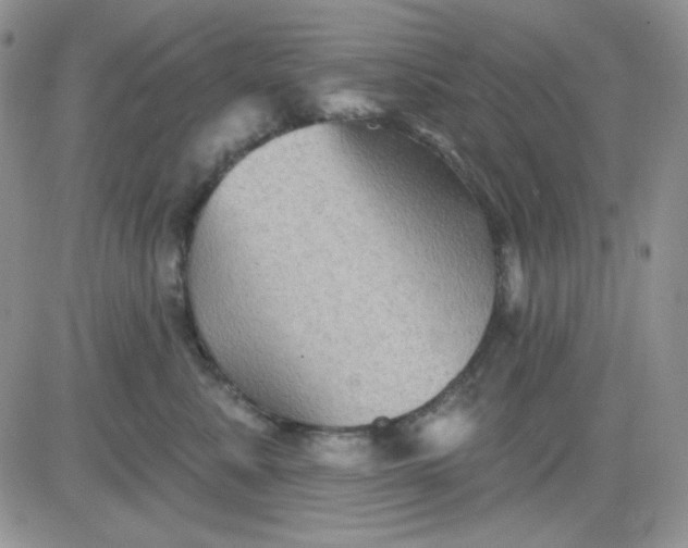 X0000081440619200701261849