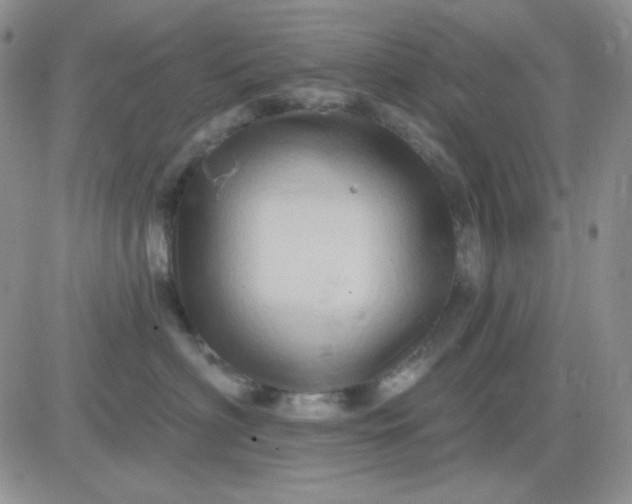 X0000081440622200701261849