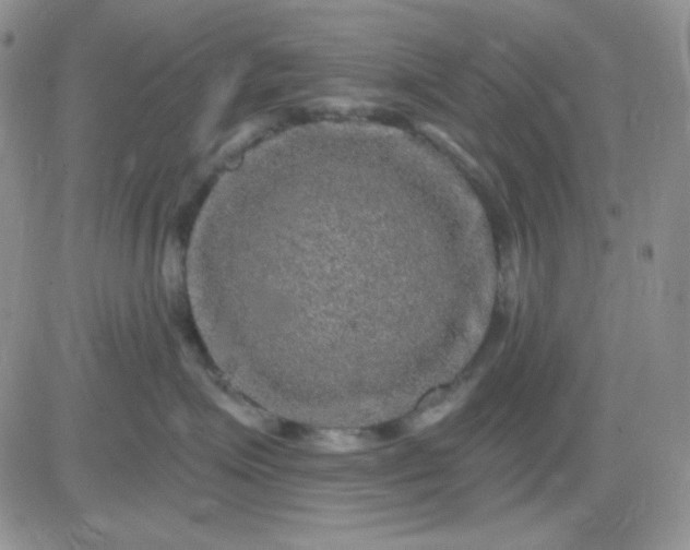 X0000081440623200701261849