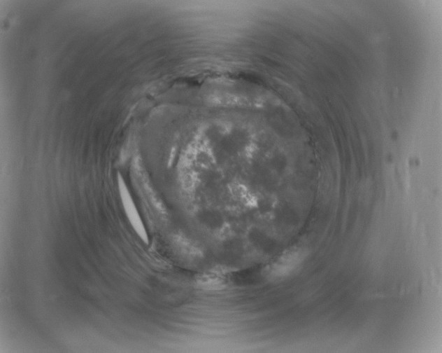 X0000081440624200701261849