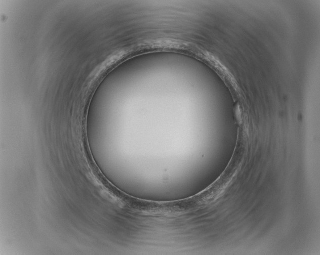 X0000081440625200701261848