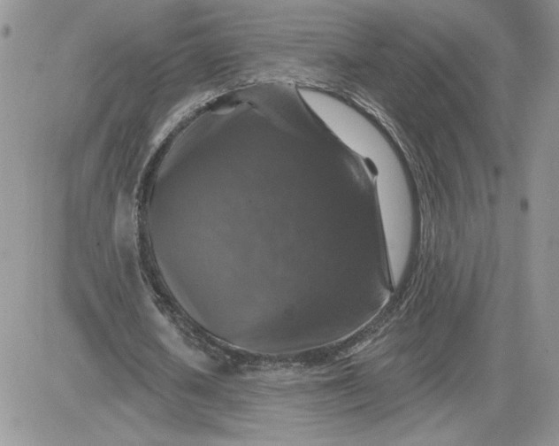 X0000081440626200701261848