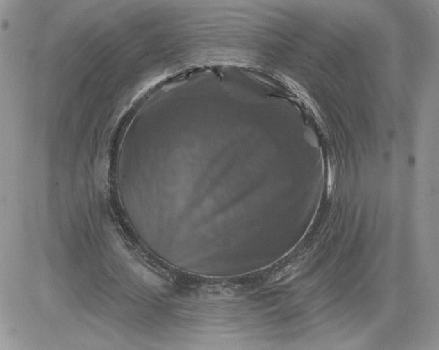 X0000081440627200701261848