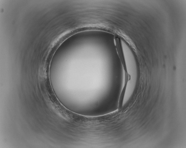 X0000081440628200701261848