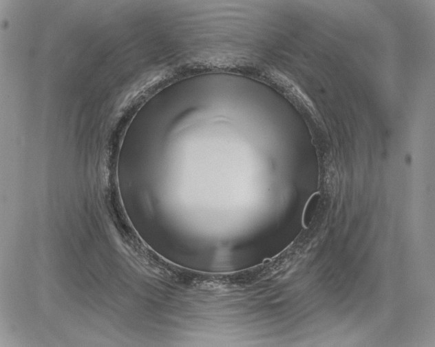 X0000081440635200701261848