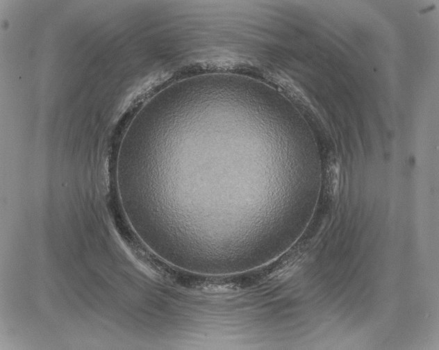 X0000081440638200701261848