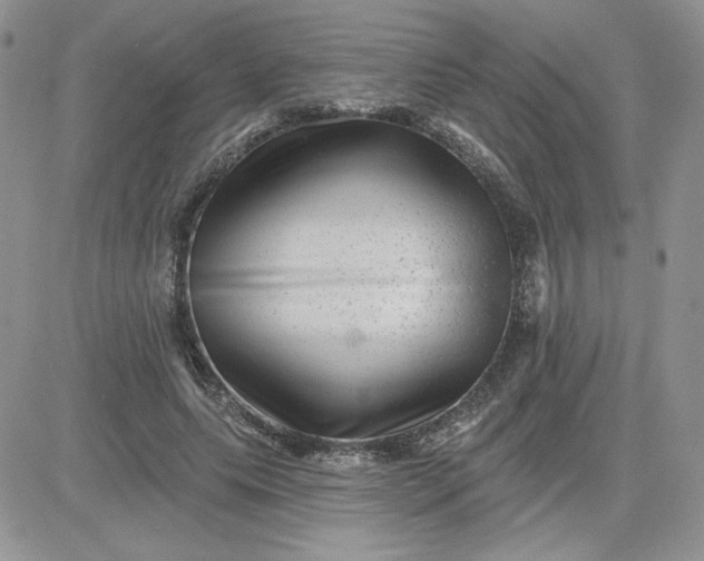X0000081440639200701261848