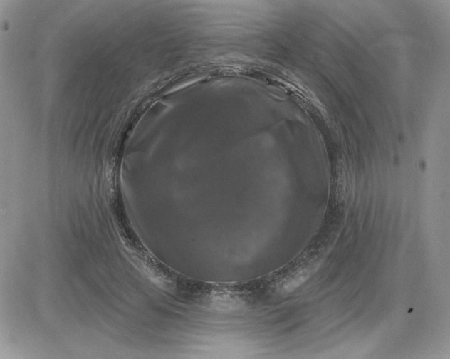 X0000081440641200701261848