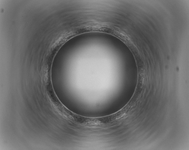 X0000081440642200701261848