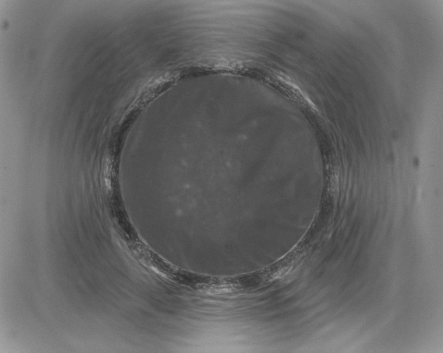 X0000081440643200701261849