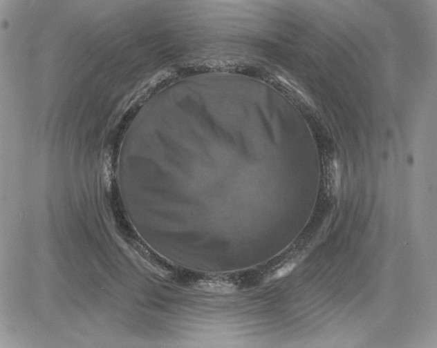 X0000081440644200701261849