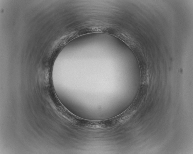 X0000081440646200701261849