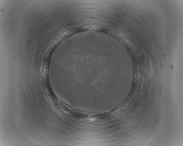 X0000081440647200701261849