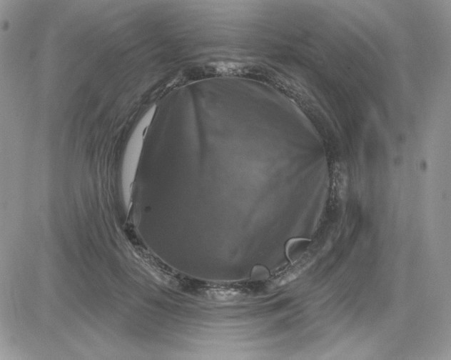 X0000081440650200701261849