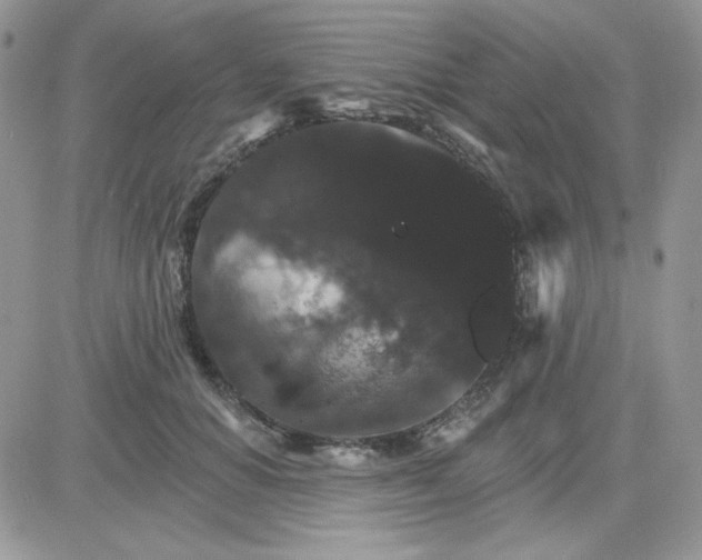 X0000081440654200701261849