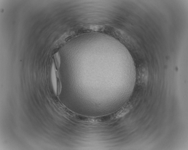 X0000081440656200701261849