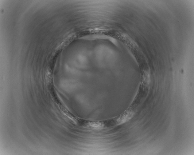 X0000081440659200701261849