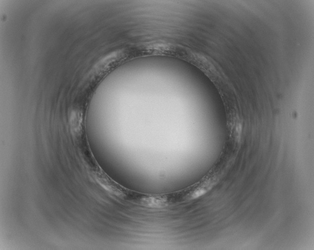 X0000081440660200701261849