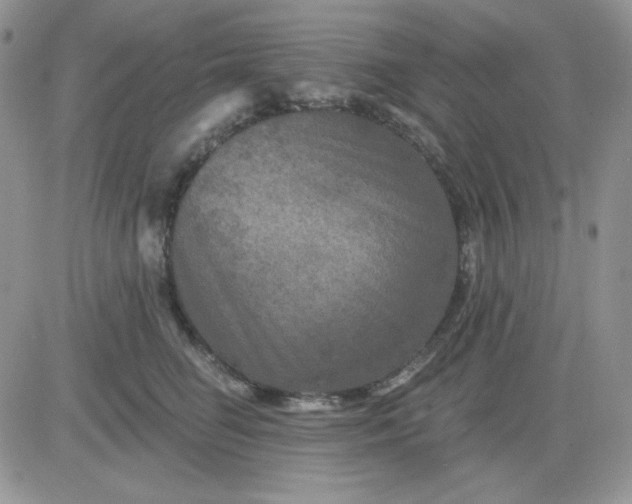 X0000081440662200701261849