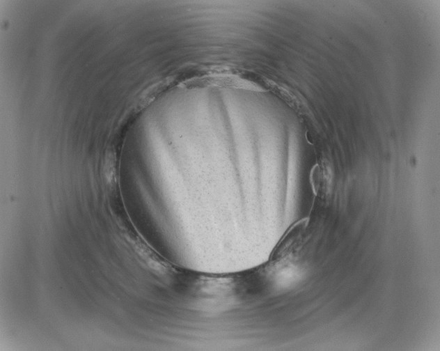 X0000081440665200701261849
