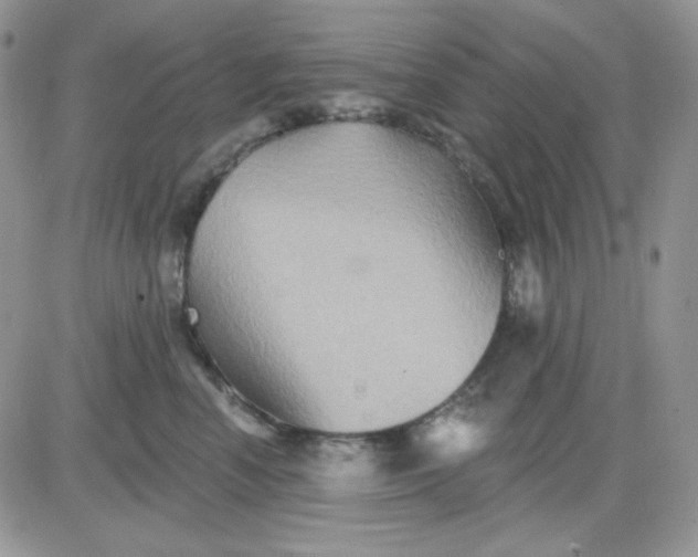 X0000081440666200701261849