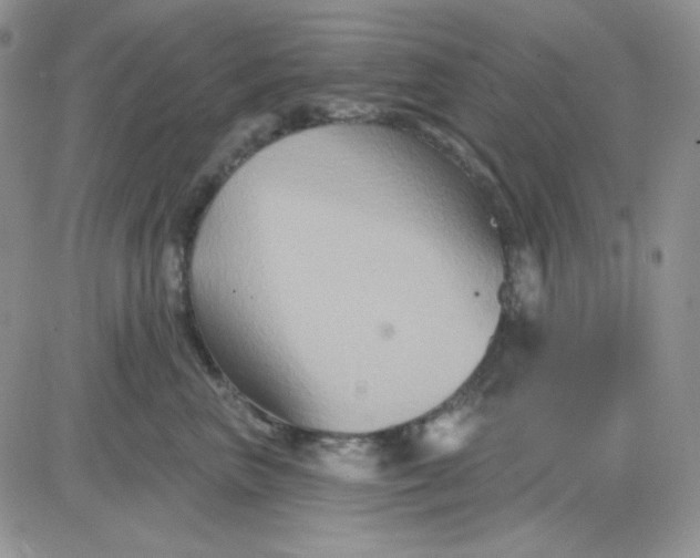 X0000081440667200701261849