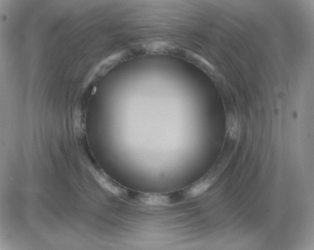 X0000081440670200701261849
