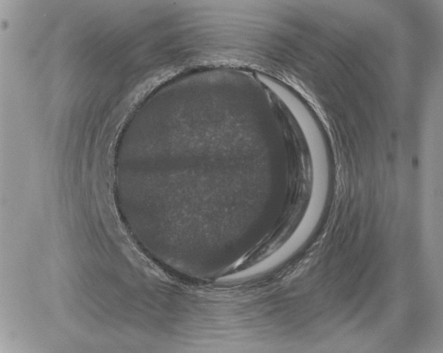 X0000081440673200701261848