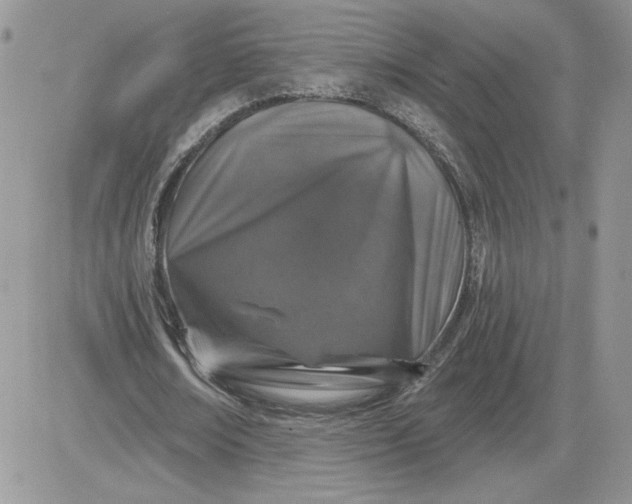 X0000081440674200701261848