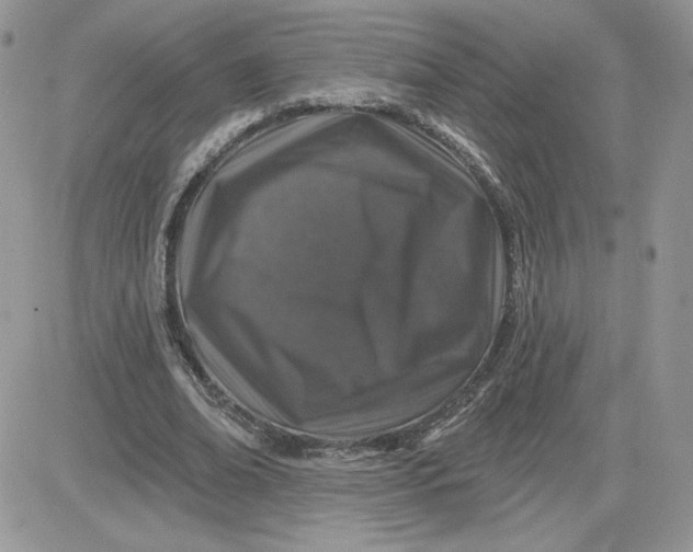 X0000081440678200701261848