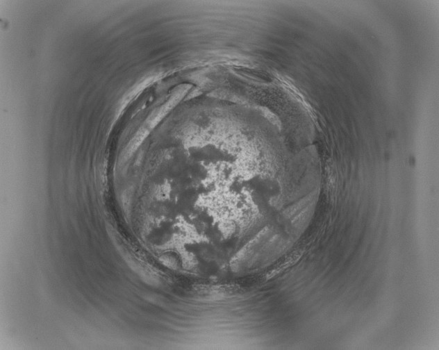 X0000081440679200701261848
