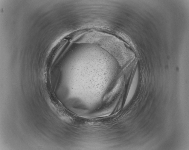 X0000081440680200701261848